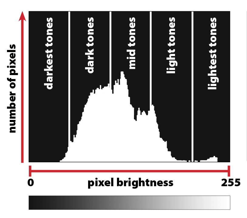 Mastering Histograms: A Quick Guide to Reading Data Visuals Mastering Histograms: A Quick Guide to Reading Data Visuals